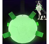 HETOO Balles phosphorescentes interactives pour chien, ballon de football d'extérieur avec sangles, jouet à tirer pour chiens de petite et moyenne taille, cadeau d'anniversaire pour chiot (motif nid