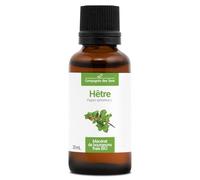 Hêtre BIO - 30mL - (Fagus Sylvatica) - Macérat concentré de bourgeons frais