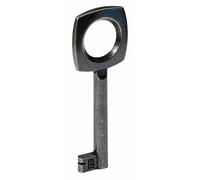 Hettich Furntech Gmbh Et-Co-Kg - Clef Metal Laiton/Bruni X1
