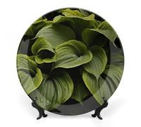 HETVBNS Assiette décorative en porcelaine anglaise avec présentoir Motif | Assiette murale de 17,8 cm avec support et crochet, décoration murale ou de table, plaque d'art en céramique pour entrée