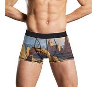 HETVBNS Boxer pour homme anti-humidité Arches Parc National Stretch Boxer Slip respirant Sous-vêtements pour homme, Parc national des Arches, M