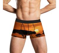 HETVBNS Boxer pour homme évacuant l'humidité - Coucher de soleil - Savane africaine - Extensible - Respirant, Savane africaine au coucher du soleil, M
