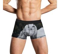 HETVBNS Boxer pour homme évacuant l'humidité - Motif hibou des neiges - Extensible - Respirant, Chouette des, XXL