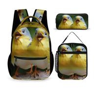 HETVBNS Ensemble de 3 sacs à dos avec motif d'oiseau amusant - Sac à déjeuner isotherme et portable - Pour homme et femme