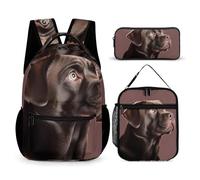 HETVBNS Ensemble sac à dos 3 pièces, sac à dos isotherme durable, trousse à crayons portable pour homme et femme