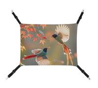 HETVBNS Hamac coucou pour animaux domestiques pour chats et chiens, hamac à suspendre en toile douce et respirante avec sangles réglables, lit suspendu confortable et durable pour animaux de compagnie