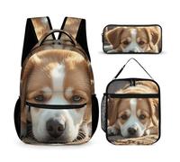 HETVBNS Lazy Dog Lot de 3 sacs à dos isothermes et trousse à crayons pour homme et femme