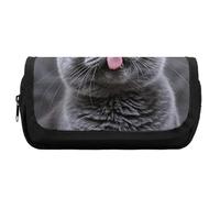 HETVBNS Trousse à crayons extra large avec motif chat bleu, double couche avec fermeture éclair, trousse à maquillage portable pour voyage, organisateur de papeterie de bureau pour homme et femme