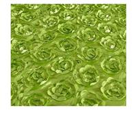 HEUchuan Tapis d'allée pour Mariage Tapis d'allée en Tissu satiné de 10M, Fleur Rose, Rouge, for Mariage, Rideau, arrière-Plan fête, Couverture Table, décoration(Green1)
