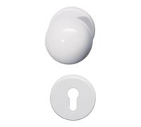 HEWI HEWI Rosettegrt.111R03.233 Ku.50 rd.PZ DIN L/R KGL D/K Quantité:1