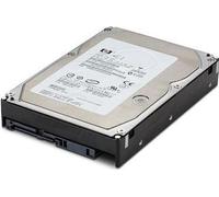 Hewlett Packard Enterprise DRV HD 600GB 2.5 10K 6G SAS