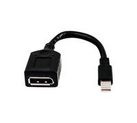 HP Câble adaptateur miniDP-DP