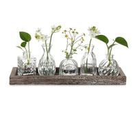 Hewory Mini Vase en Verre Decoratif - Set de 5 Soliflore avec Plateau en Bois pour Centre de Table - Style Vintage Design pour Decoration Interieur
