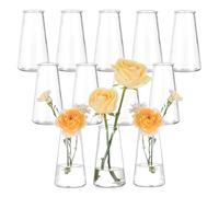 Hewory Petit Vase Transparent Verre: 12 Vase Decoratif Petit Vase Deco Table pour Decoration Mariage - Moderne Vase Fleur Fiole en Verre pour Centre de Table Anniversaire Maison Home Salon