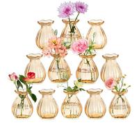 Hewory Petit Vase Verre Coloré: 6 Champagne Fiole en Verre Vase Decoratif Design pour Centre de Table - Soliflore en Verre Vase Fleur Moderne Vase Verre pour Maison Home Salon Decoration Mariage