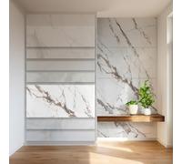 HEXIM Plaques de marbre aspect 4 pièces 122×70cm SPC plastique intérieur & extérieur - Paroi arrière de douche, arrière de cuisine, Salle de bains (3,42 m² 2002) A-Serie