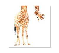 Hexoa Affiche Dessin Coucou de Girafe - Made in France - Affiche Seule 30x30