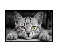 Hexoa Affiche encadrée - Chat au Regard doré, intensité et mystère - Made in France - 60x40