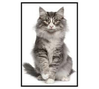 Hexoa Affiche encadrée Chat élégant au Pelage majestueux - Made in France - 40x60