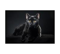 Hexoa Affiche encadrée Chat Noir au Regard doré - Made in France - 60x40