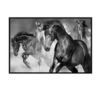 Hexoa Affiche encadrée Chevaux Noirs artistiques - Made in France - 60x40
