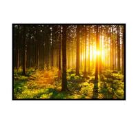 Hexoa Affiche encadrée forêt dorée lumière du Matin - Made in France - 60x40
