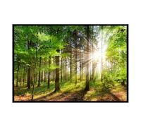 Hexoa Affiche encadrée Forêt Verte illuminée - Made in France - 60x40