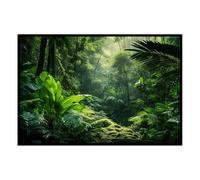 Hexoa Affiche encadrée Jungle Verte - Made in France - 60x40