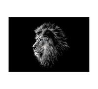 Hexoa Affiche encadrée Lion Noir et Blanc Regard Bleu - Made in France - 60x40