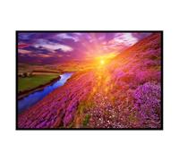 Hexoa Affiche encadrée Paysage de Lande Fleurie au Coucher du Soleil - Made in France - 60x40