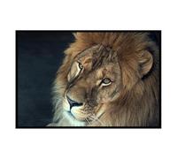 Hexoa Affiche encadrée Portrait Lion Couleur - Made in France - 60x40