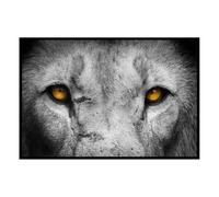 Hexoa Affiche encadrée Regard de Lion en Gros Plan - Made in France - 60x40