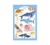 Hexoa Affiche Enfant Animaux Marins - Made in France - Affiche Seule 20x30
