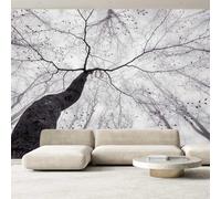 Hexoa Papier Peint panoramique Arbre en Hiver - Made in France - 364x270