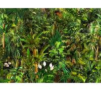 Hexoa Papier Peint panoramique Palmier Paradis Vert - Made in France - Papier Peint 364x270