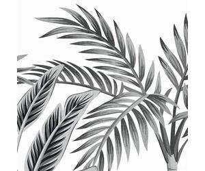 Hexoa Papier Peint Rouleau palmeraie - Made in France - 159x280cm 159x280