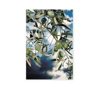 Hexoa Poster Kalamata, Olivier Grec - Made in France - Affiche Seule 60x90