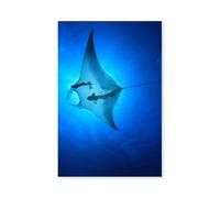 Hexoa Tableau Animaux Marins Raie Manta Alu - Made in France