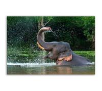 Hexoa Tableau éléphant Sauvage éclaboussures d’Eau Tropicales - Made in France - 60x40