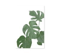 Hexoa Tableau Feuilles de Monstera - Made in France - Toile imprimée 40x60