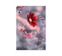 Hexoa Tableau Fleurs Carmen - Made in France - Toile imprimée 60x90