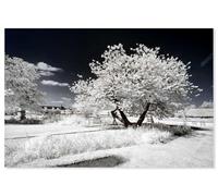 Hexoa Tableau Paris Jardin Blanc comme Neige - Made in France - Toile imprimée 90x60