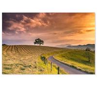 Hexoa Tableau Paysage Nature Chemin des Basques - Made in France - Toile imprimée 120x80