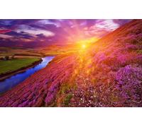 Hexoa Tableau Photo Paysage Islande Montagne Fleuri, 80x50cm - Made in France - 80x50