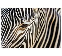 Hexoa Tableau zèbre - Made in France - Toile imprimée 120x80