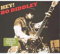 Hey ! Bo Diddley