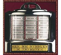 Hey Bo Diddley-a Tribute