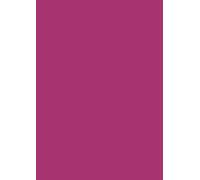 Heyda 203310564 Papier de soie Rose 50 x 70 cm