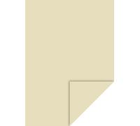 Heyda Lot de 100 feuilles de papier cartonné A4 130 g Chamois