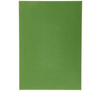 HEYDA Lot de 50 cartons photo A4 Vert feuille 300 g